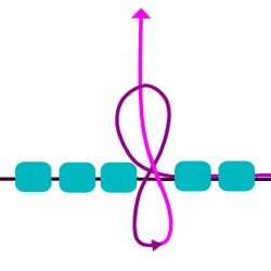 How to make a half-hitch knot