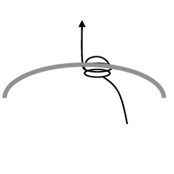 Hydrangea Flower Ring Tutorial Step 3